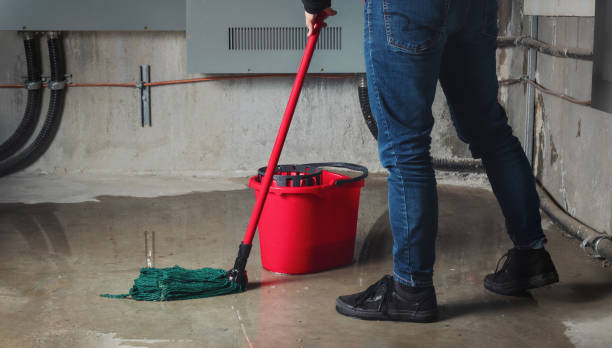 Best Local water damage restoration  in Hoisington, KS