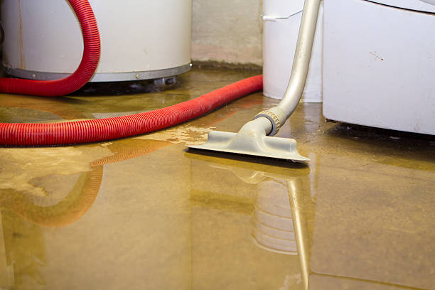 Best Water damage restoration insurance claims  in Hoisington, KS