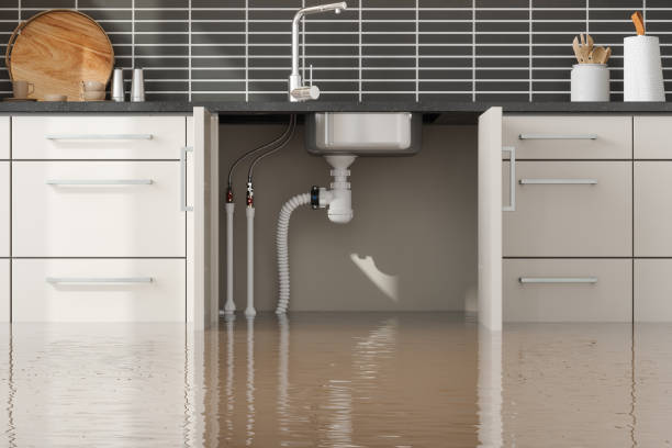 Best Fire Damage Restoration  in Hoisington, KS